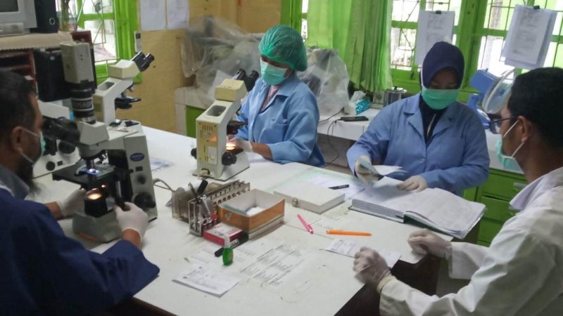 UPDATE COVID-19 : Tambahan 2 Dari Tembagapura, Mimika Total Kasus 41