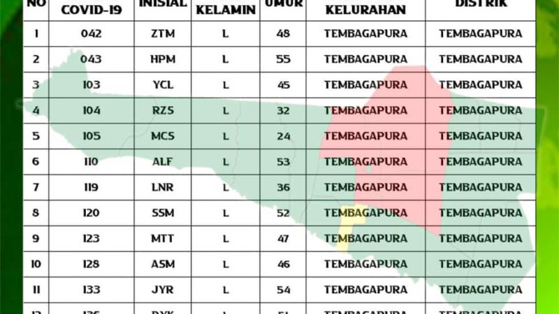 Mimika Kontribusi Pasien Sembuh 44 Persen, Tertinggi di Papua