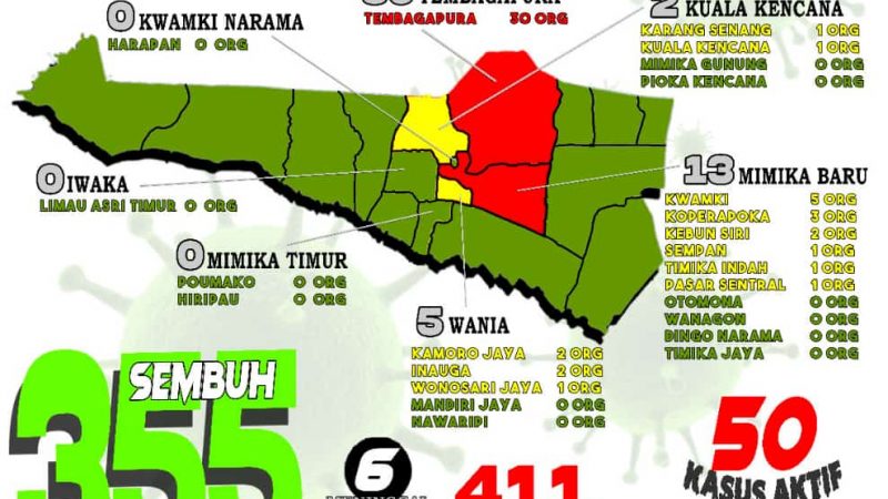 Di Mimika Pasien Sembuh Bertambah 12, Total Sembuh 355 Orang