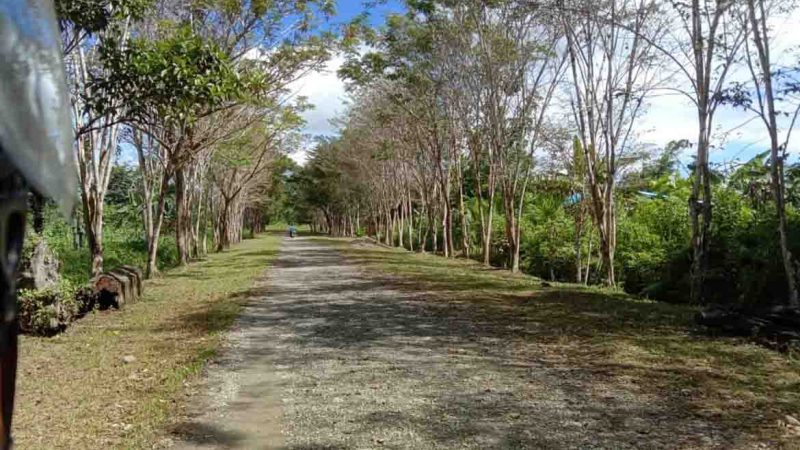 Dipersiapkan jadi Kampung Agro Wisata, Kepala Kampung Mandiri Jaya Minta Dukungan OPD Teknis