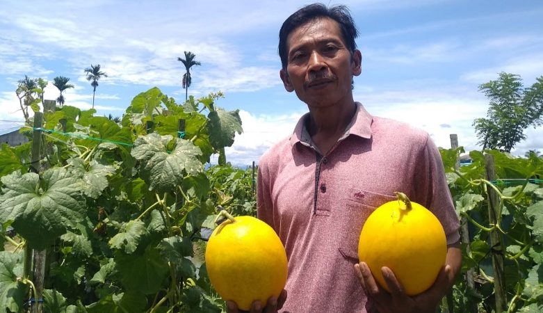 Petani di Mimika Keluhkan Kenaikan Harga Pupuk