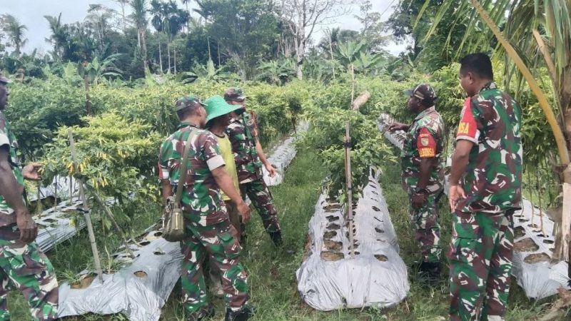 Koramil Mapurujaya Lakukan Pendampingan Kepada Petani di Kampung Muare