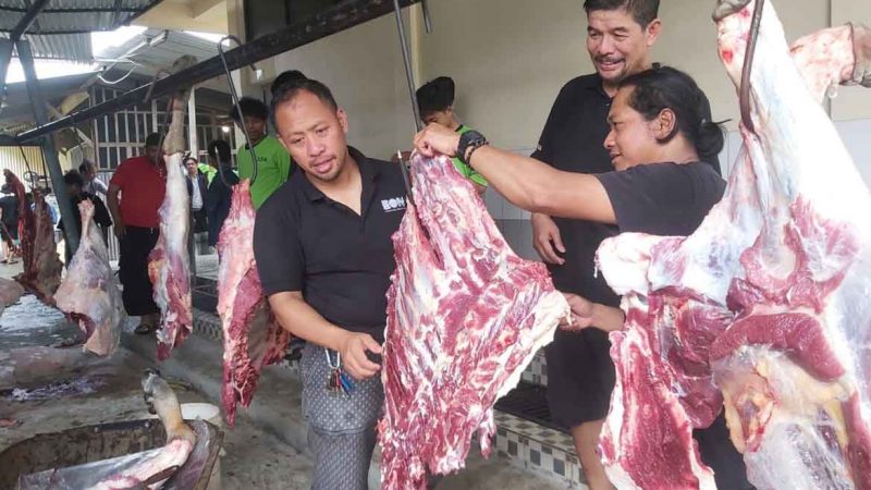 Idul Adha : LDII Potong 20 Ekor Sapi, Wabup John Rettob Apresiasi Kebersamaan Umat