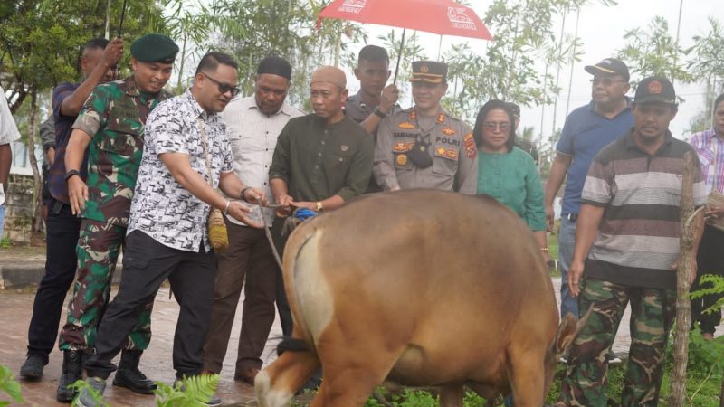 Hari Raya Idul Adha, Pemkab Mappi Serahkan Hewan Kurban Kepada PHBI