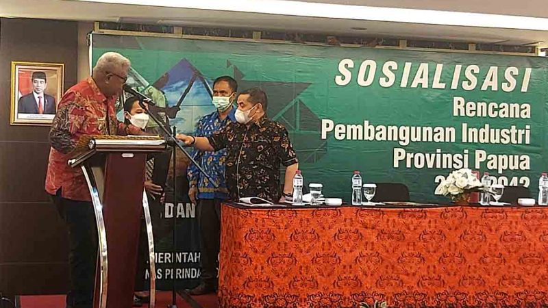 Pomako dan Sekitarnya Diproyeksikan Sebagai Kawasan Industri di Papua