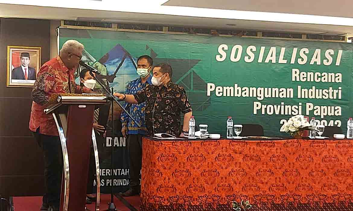 Pomako dan Sekitarnya Diproyeksikan Sebagai Kawasan Industri di Papua