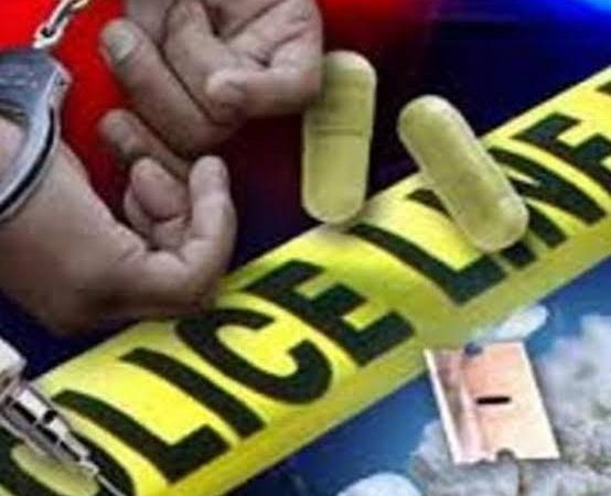 49 Bungkus Ganja Berhasil Diamankan Satnarkoba Polres Mimika di Bandara Mozes Kilangin