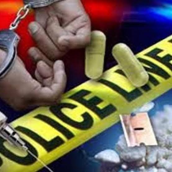 49 Bungkus Ganja Berhasil Diamankan Satnarkoba Polres Mimika di Bandara Mozes Kilangin
