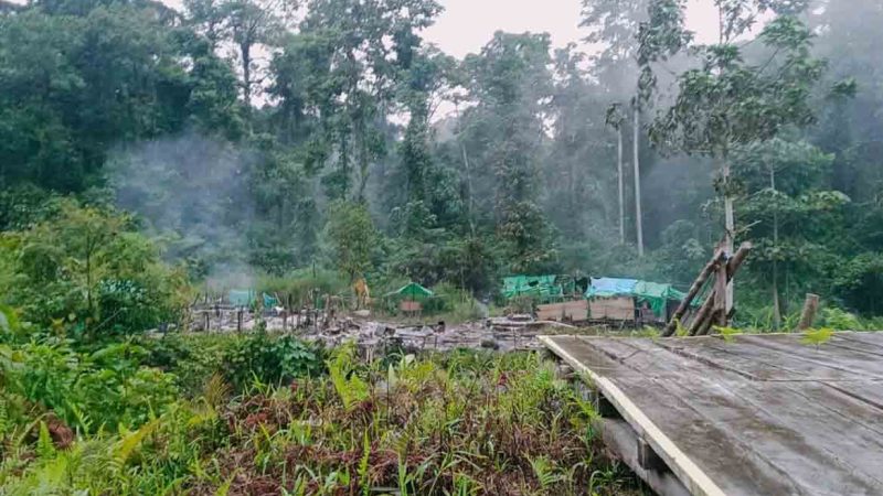 Korban Penyerangan KKB di Camp Mining 81 Pegunungan Bintang di Evakuasi ke Tanah Merah