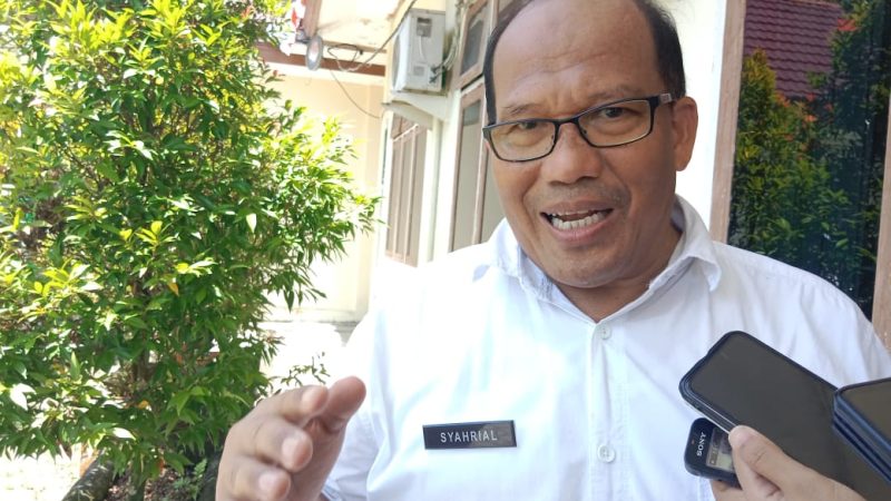 Tahun 2024, Pemkab Mimika Bakal Bangun PLTS Di Iwaka