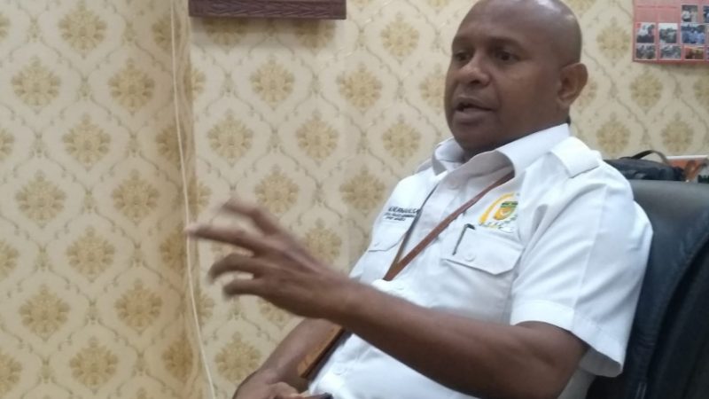 Disnak Diminta Tertibkan Kandang Babi Dalam Kota Timika