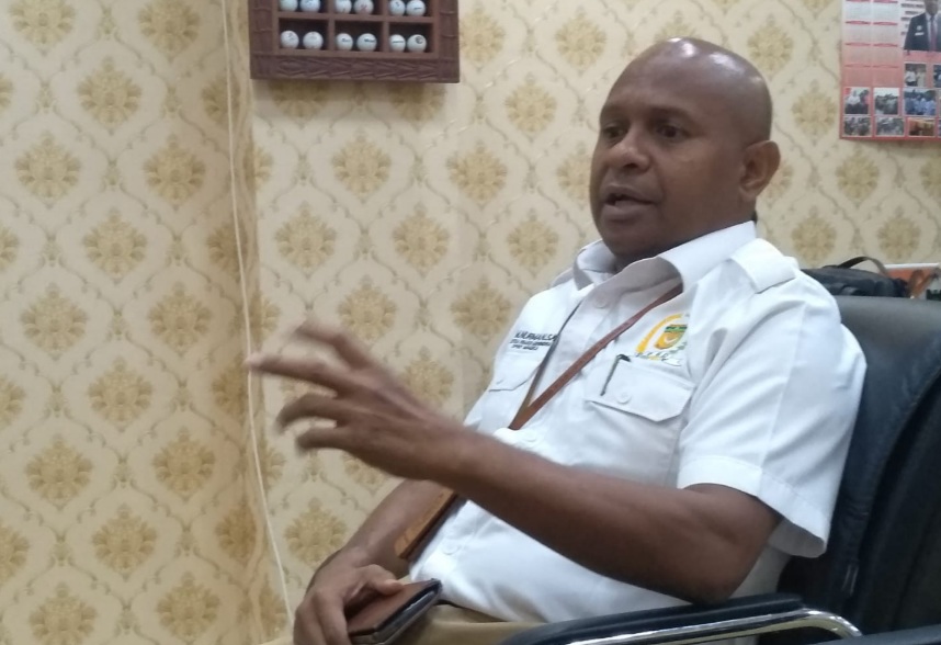 Disnak Diminta Tertibkan Kandang Babi Dalam Kota Timika