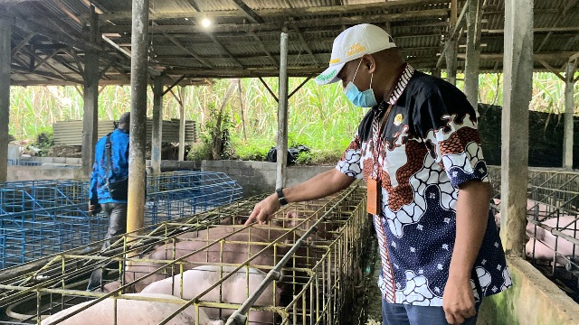 Tingkatkan Mutu Pakan Babi, Komisi B DPRD Dan Dinas Peternakan Belajar ke Kabupaten Malang