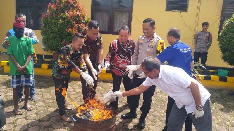 Puluhan Gram Ganja dan Sabu-Sabu Dimusnahkan di Timika