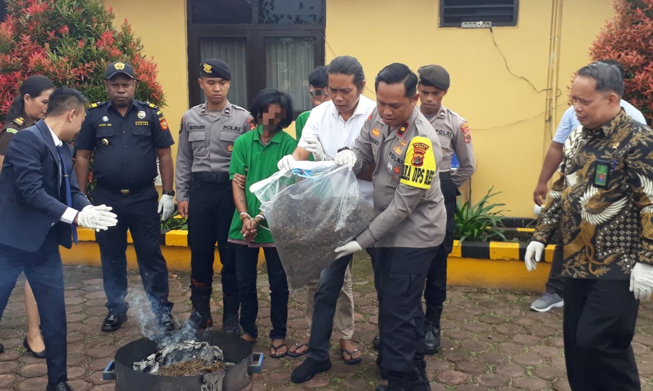 Ribuan Gram Ganja Bernilai Ratusan Juta Dimusnahkan Polres Mimika