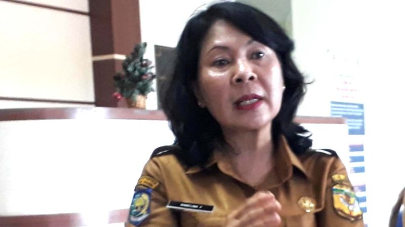 Dinas Peternakan Mimika Siapkan Lahan untuk Kubur Ternak Babi yang Mati Terserang Virus ASF