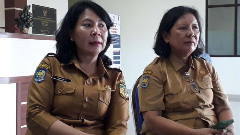 Data Perhari Ini 245 Ekor Babi di Mimika Mati Karena Virus ASF