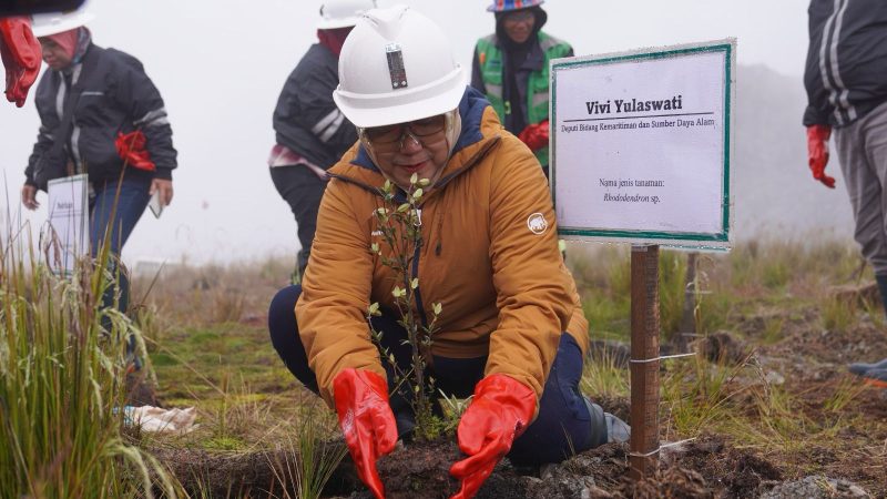 KLHK & Bappenas Kunjungi Freeport, Pantau Reklamasi dan Pemberdayaan Masyarakat