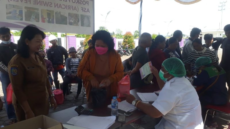 Tiga Distrik di Mimika Masuk Zona Merah Penyebaran Virus ASF