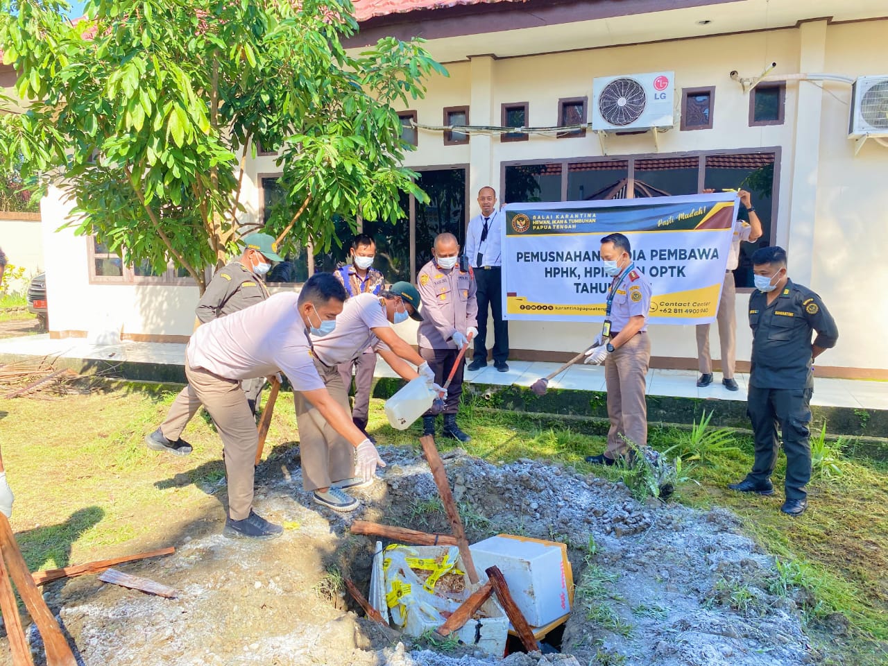 Tidak Miliki Dokumen Resmi, Barantin Papua Tengah Musnahkan 60 kg Daging Babi Segar