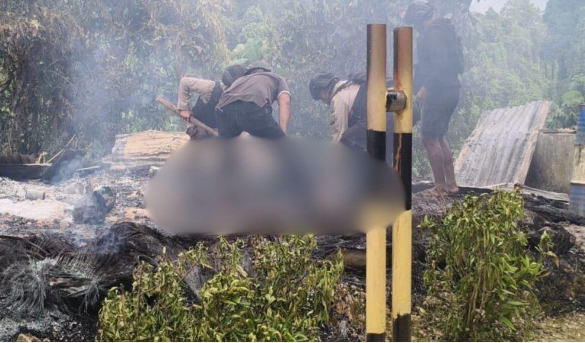Dua Korban Tewas dalam Penyerangan di Pos Pengamanan PT Kristal Nabire, Satgas Ops Damai Cartenz Lakukan Penyelidikan Mendalam