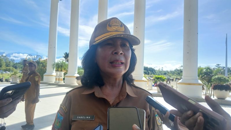 Pastikan LPG Tepat Sasaran, Rumah Makan Diarahkan Pakai Tabung 50 kg