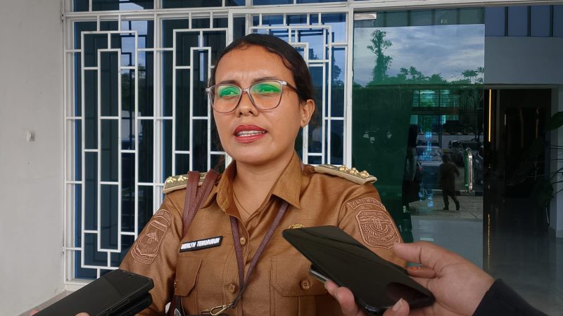 Pemilihan RT di Mimika Baru Bertahap, Usulan Pemekaran Capai 500 RT