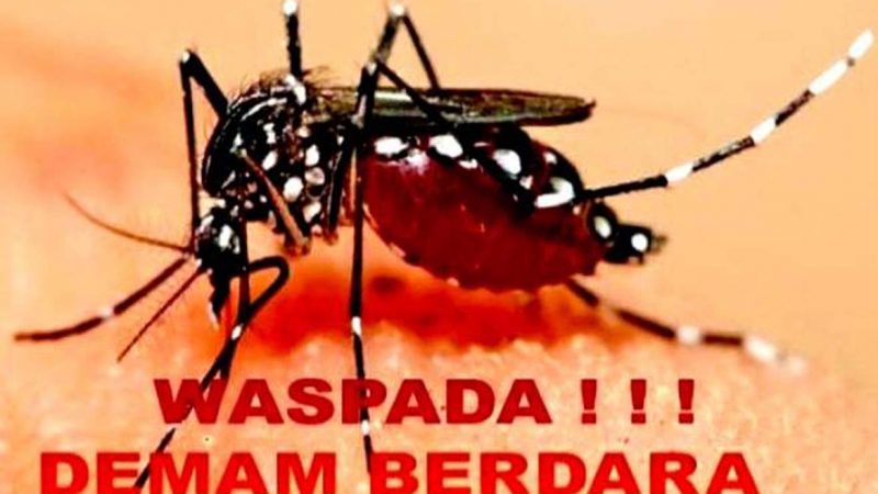 DINKES Mimika Ajak Kelurahan – Cegah Penularan DBD