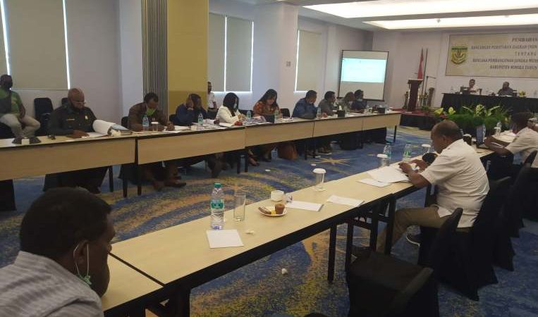 RPJMD Mimika 2020-2024 Harus Akomodir Pembangunan Dari Desa ke Kota