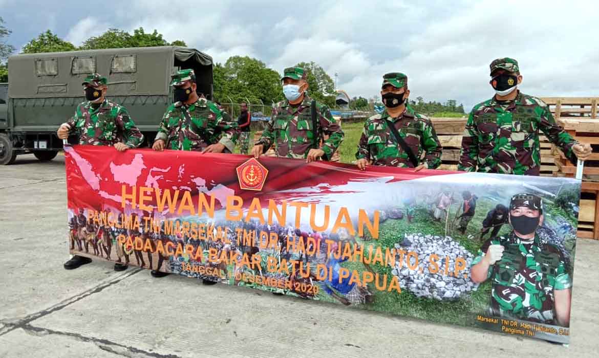 Pesawat Hercules Angkut 59 babi Bantuan Panglima TNI ke Timika