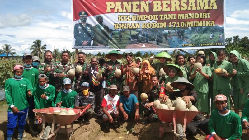 Dandim 1710/Mimika Pimpin Panen Bersama Oleh Kelompok Tani Mandiri Distrik Wania