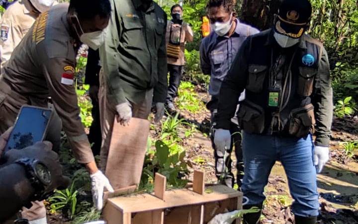 BBKSDA Papua Melepas 17 Satwa Endemik Papua di Hutan Kuala Kencana