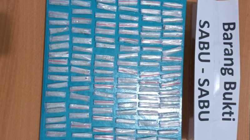 BNNK Mimika Berhasil Tangkap Seorang Pengedar dan Amankan 123 Bungkus Sabu