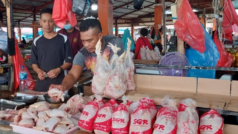 Harga Daging Ayam Beku di Pasar Sentral Timika Meningkat