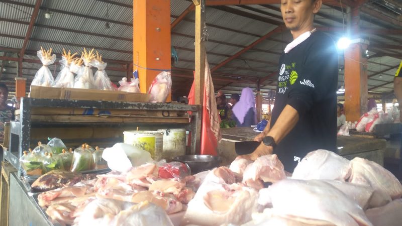 Harga Daging Ayam di Mimika Alami Kenaikan