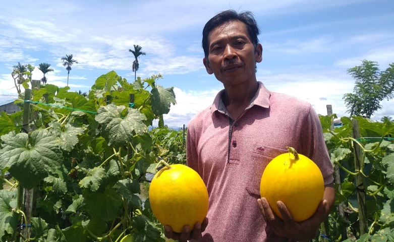 Petani di Mimika Keluhkan Kenaikan Harga Pupuk