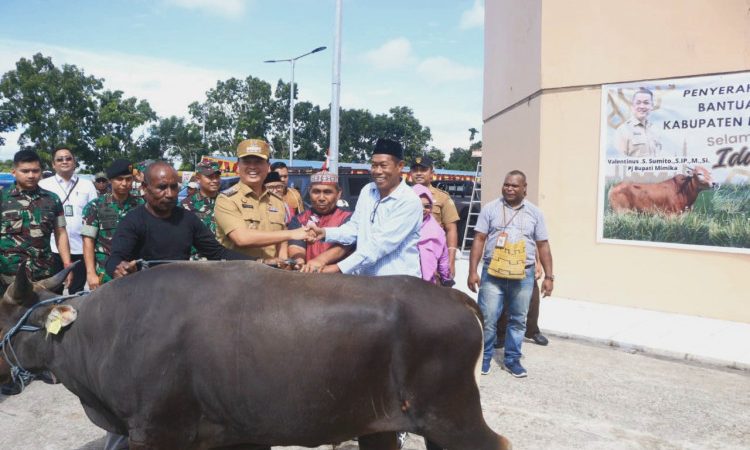 Pj Bupati Valentinus Sumito Serahkan 32 Sapi Kurban Bantuan Pemkab Mimika