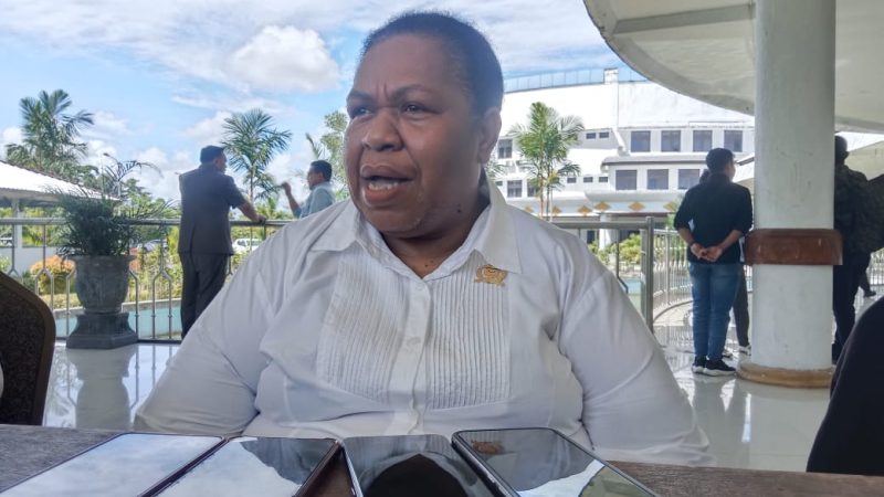 Ester Komber Desak Pemkab Mimika Perhatikan Kesejahteraan Tenaga Honorer di Wilayah Pegunungan dan Pesisir 