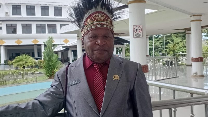 Harga Ternak Babi Hingga Rp 40 Juta Per- Ekor, DPRK Mimika dari Kelompok Khusus Desak Eksekutif Lakukan Hal Ini