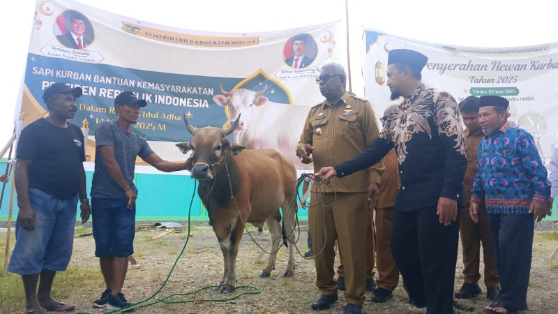 Sambut Idul Adha, Pemkab Mimika Serahkan 45 Sapi Kurban Termasuk Bantuan Presiden
