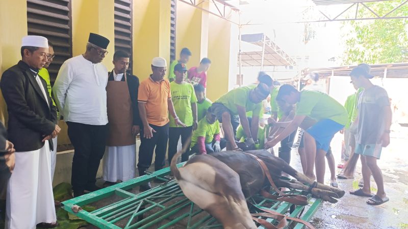 Saksikan Penyembelihan Hewan Kurban, Bupati Mimika Berikan Apresiasi Dan Ucapkan Selamat Idul Adha 