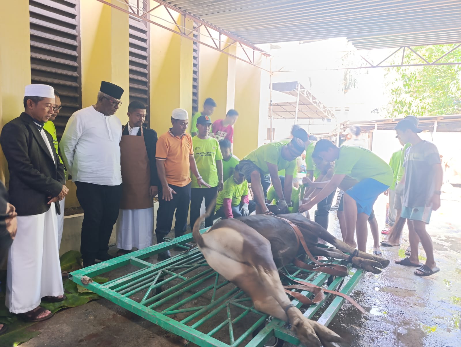 Saksikan Penyembelihan Hewan Kurban, Bupati Mimika Berikan Apresiasi Dan Ucapkan Selamat Idul Adha 