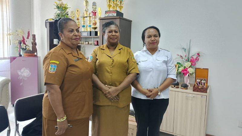 DP3AP2KB Mimika Catat 56 Kasus Kekerasan Perempuan dan Anak Sepanjang 2025