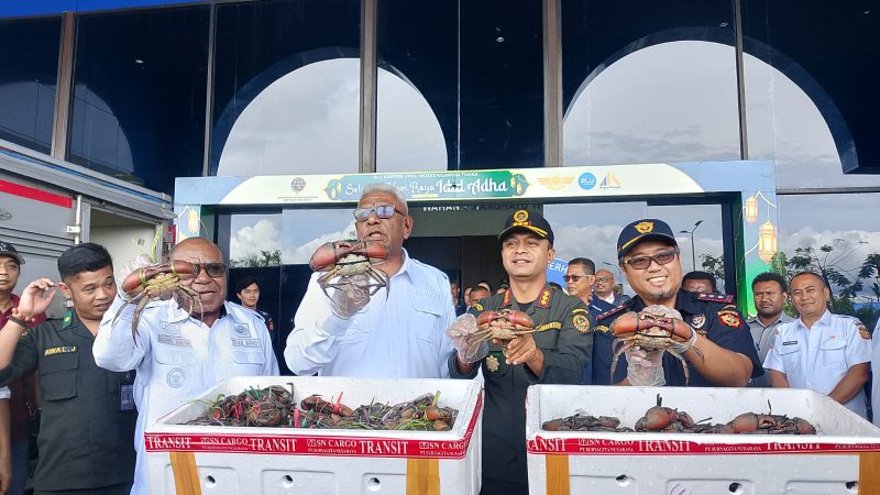 UMKM Mimika Tembus Pasar Global, Kepiting Bakau Diekspor ke Malaysia dan Singapura