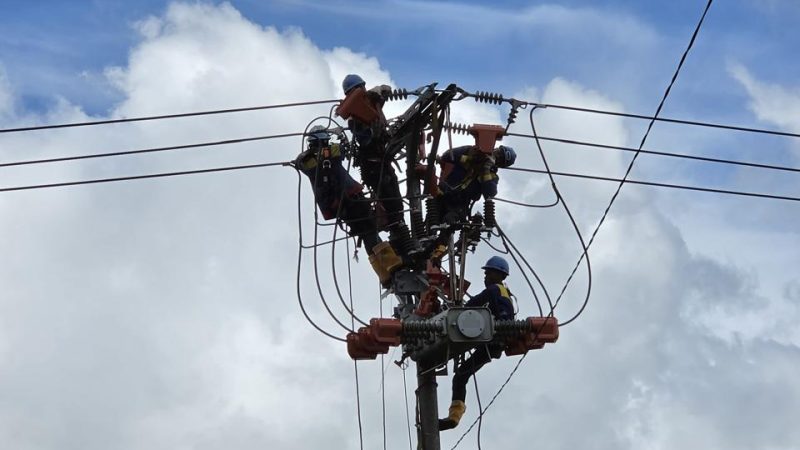 PLN Tancap Gas Perkuat Keandalan Listrik di Papua Lewat Aksi “Gerebek Penyulang,” Jelang Idul Adha 