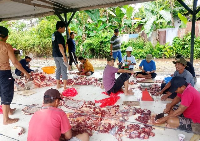 Kebersamaan Warnai Penyembelihan Hewan Kurban di Masjid Jami Baiturrahman