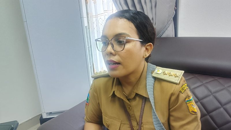 Distrik Mimika Baru Lanjutkan Penataan Ruang Terbuka Hijau