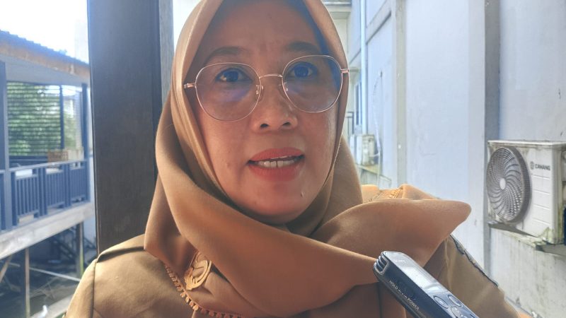 Perkuat Efektivitas Layanan Kesehatan Masyarakat, Dinkes Dorong Tiga Inovasi Ini