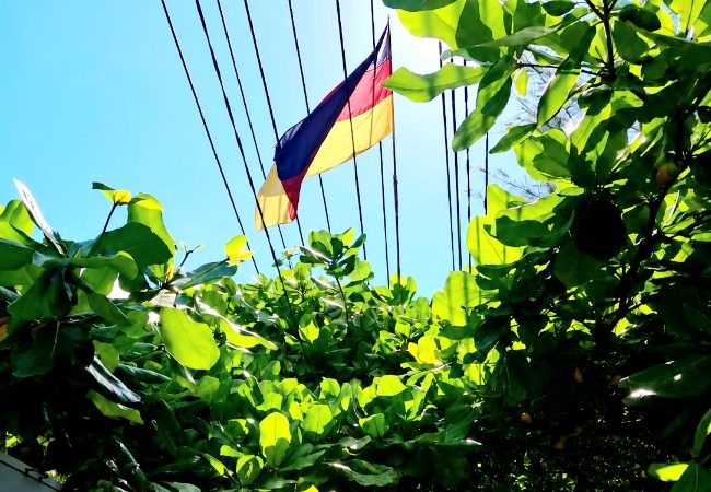Jelang Piala Dunia 2026, PLN Minta Warga Hindari Pemasangan Atribut Dekat Jaringan Listrik