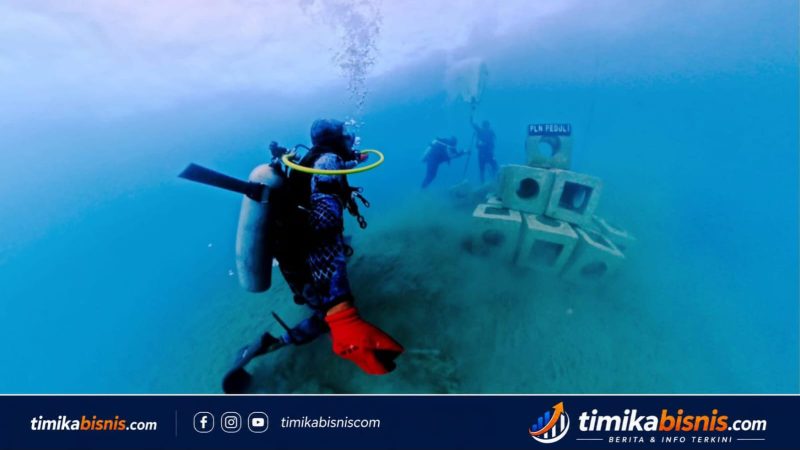 Merajut Kehidupan, Menciptakan Surga Biota: Inovasi Abu FABA di Laut Jayapura